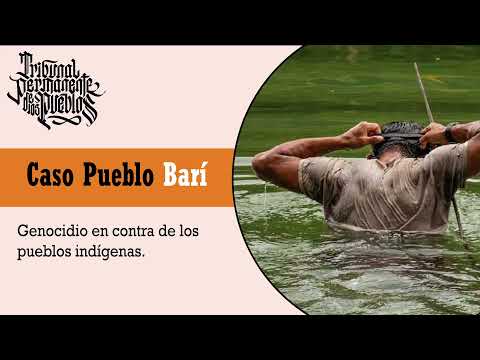 Pueblos Indígenas: Caso Pueblo Barí