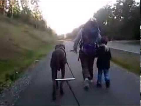 Familien Spaziergang mit Sacco