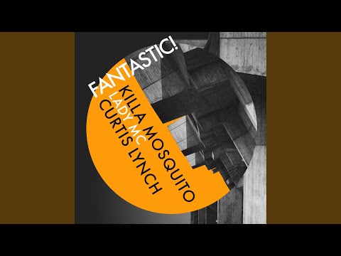 Fantastic (feat. Curtis Lynch & Lady MC) (Curtis Lynch Remix)