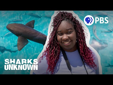 Diversifying Ocean Sciences: A Hands-On Experience with Sharks