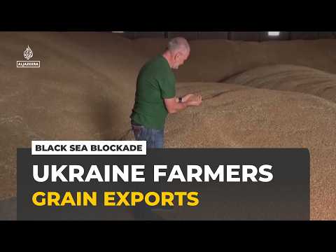 Ukraine farmers struggle as Russia's Black Sea blockade traps their grain
