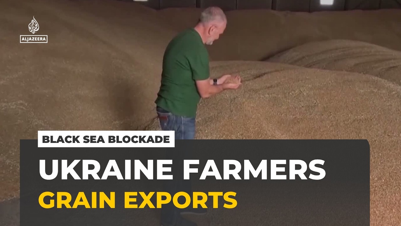 Ukraine farmers struggle as Russia's Black Sea blockade traps their grain