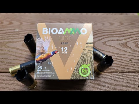 Bioammo Review - Good for the environment?