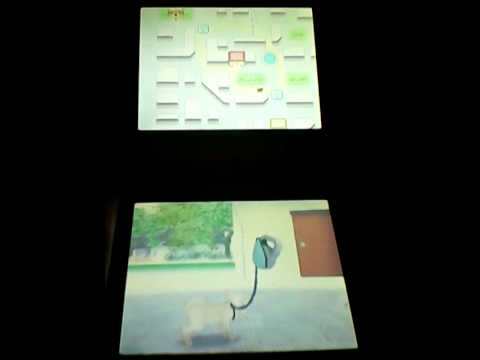 50 Jeux Incontournables Nintendo DS