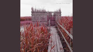 まあるいひと / Marui Hito / Everyone (2022 Remaster)