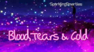 Hurts - Blood,Tears &amp;&#39; Gold ~ Lyrics