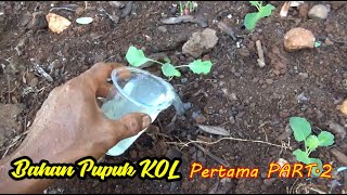 Bahan Pemupukan Pertama KOL/KUBIS Di Pekarangan PART.2