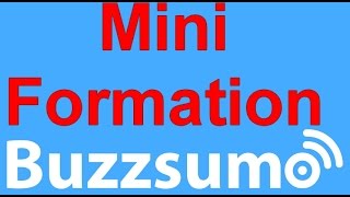 BuzzSumo Mini-Tutorial