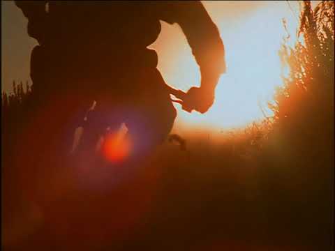 Zinndeadly & Big Dro feat. Mystic - Choose One (The Collective - ROAM) [AI 4K]