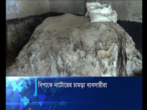 বিপাকে নাটোরের চামড়া ব্যবসায়ীরা