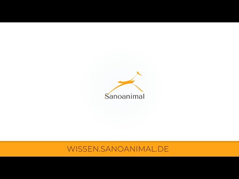 Trailer Offene Fragestunde Pferdegesundheit