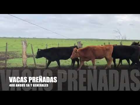 AGRONORTE Tv -  ARTIGAS TELEVISIÓN