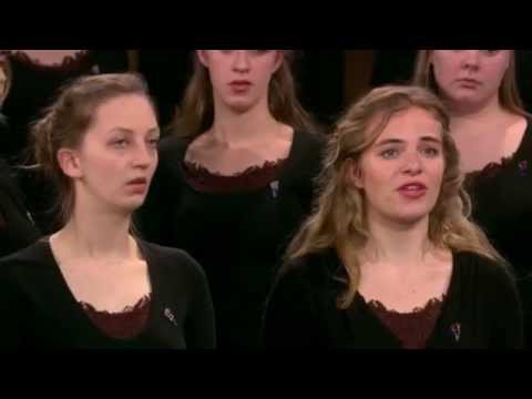 Unter dayne vayse shtern