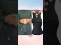 Waist Trainer Body Shaper Fajas Girdles Fat Shorts Short Youtubeshorts