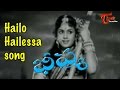 Bheeshma Movie Hailo Hailessa Hamsa Kada Naa Padava