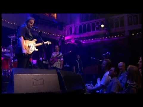 WALTER TROUT And The  Radicals (LIVE CONCERT)).Dvix dolby digital 5.1 ac3