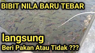 Download lagu SPREAD NILE FISH FRY!! JUST SPREAD, IMMEDIATELY FEED SAFELY WITHOUT OBSTACLES mp3 Download lagu SPREAD NILE FISH FRY!! JUST SPREAD, IMMEDIATELY FEED SAFELY WITHOUT OBSTACLES mp3