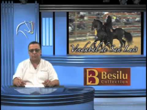 Vendabal De San Luis