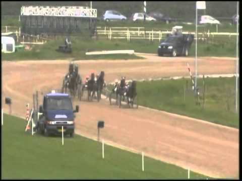 Aries wint met Jaap ter Stal Duindigt 27 04 2014