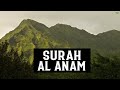 SURAH AL AN'AM (FULL SURAH) - HEART SOOTHING RECITATION