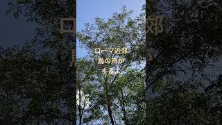 鳥の声が聞こえるローマ近郊の朝