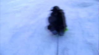 The Marvelous Werewolfing Adventures of Alfie Howl - Scare & Silliness Compilation