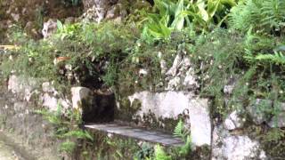 Create Fun and Mystery in the Garden