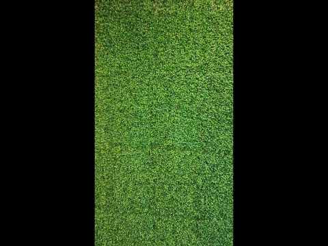 Grass Wall