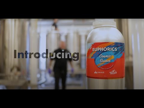 Introducing Euphorics™: A revelry of hops and other botanicals