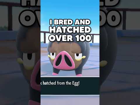 How To Breed Eggs In Pokemon Scarlet And Violet In UNDER 60 Seconds