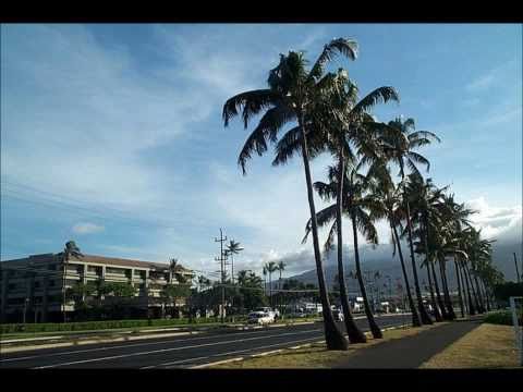 Hawaiian Soul by The Peter Moon Band