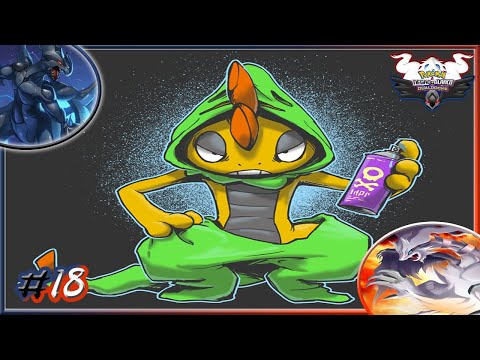 SCRAFTY BUEN POKEMON, PERO F EN EL CHAT XD - POKÉMON DUALLOCKE B/N EP18