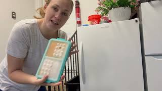 Review of the EuChoiz 2 Cup Silicone Freezer Tray Ice Cubes with Lids and Date Mark for Storing Soup