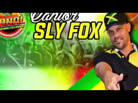 MELO DE ESTUDANTE SLY FOXX EXCLL