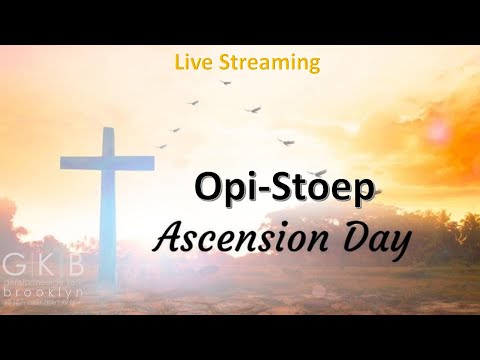 Jacques Tredoux - Blessed to be witnesses