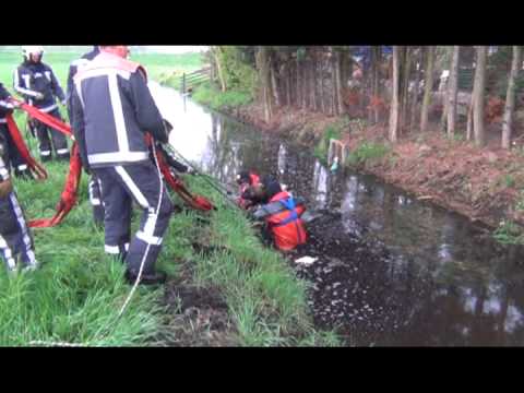 paard te water N246 Assendelft