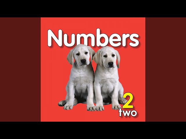 Vídeo relacionado con Let's Count Higher! Numbers 11-20 (English Edition)