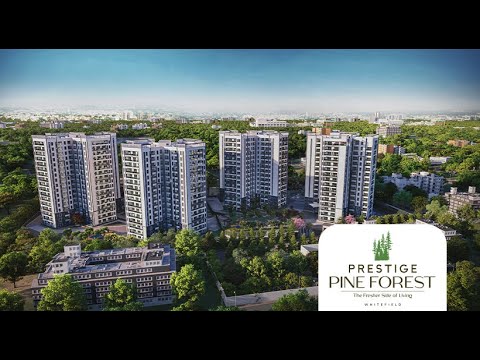 Prestige Pine Forest Project Tour 1