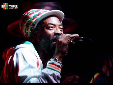 REALITY SHOCK ROLL CALL - DONOVAN KINGJAY