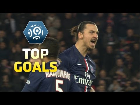 Top goals : Week 17 / 2014-15