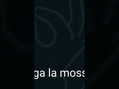 paga la mossa