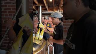 Tapping Potential Pink IPA | Oak Park Brewing 🍺 #craftbeer #brewing #beer