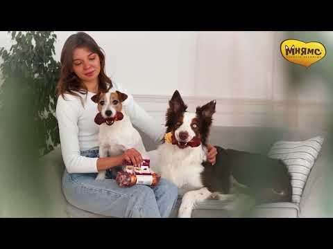 Миниатюра изображения товара Лакомство для собак Мнямс Пармская косточка S / 177080 (35г)