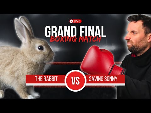 Animals I Can Take In a Fight - Tier List - Round 1