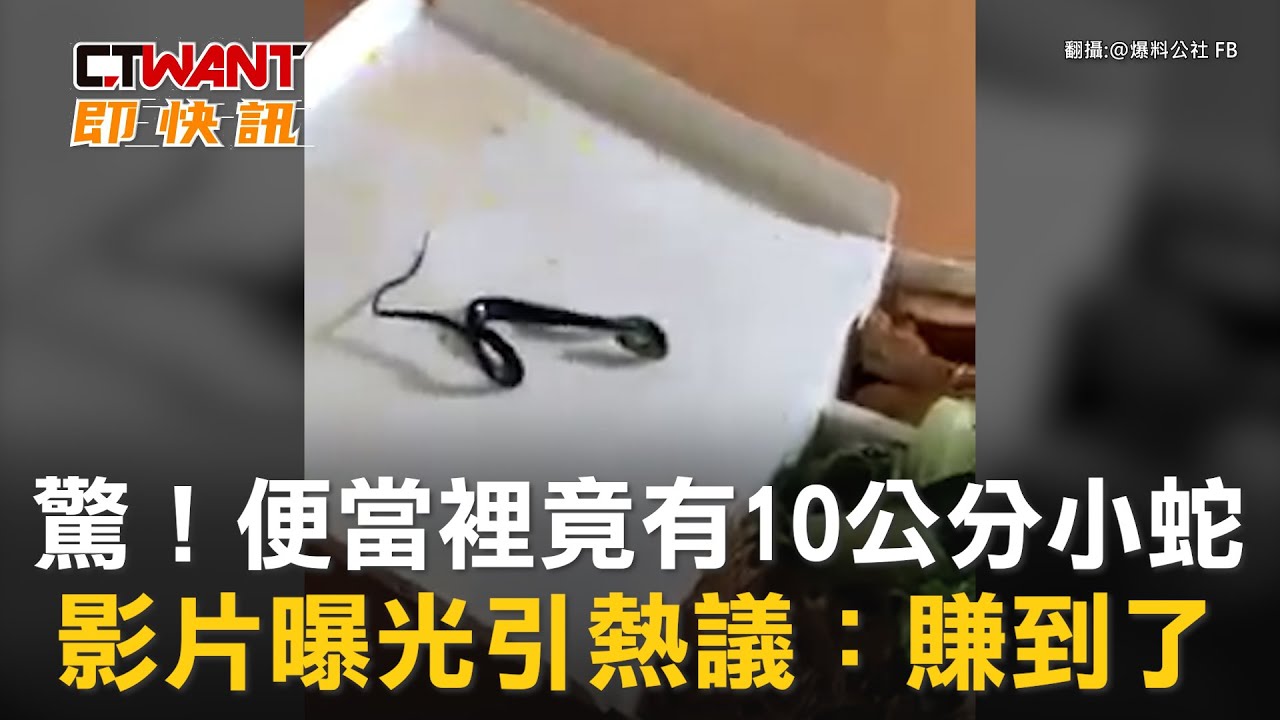 圖說-驚！便當裡竟有10公分小蛇　影片曝光引熱議：賺到了