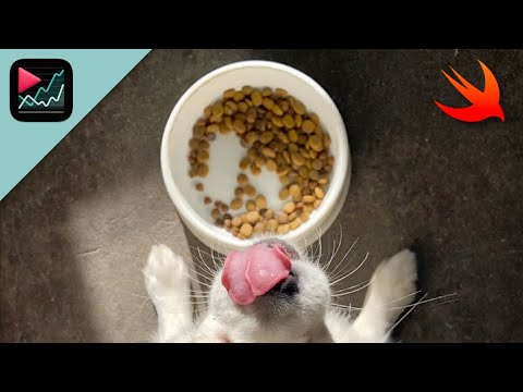 CVC #8 - Dogfooding & Task Tracking thumbnail