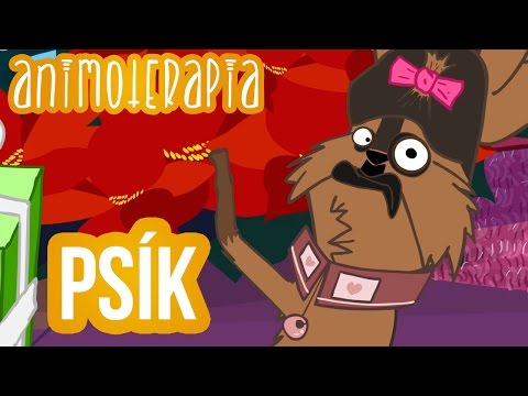 Animoterapia - 3 : Psík