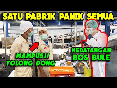 ngakak-bule-jowo-grebek-pabrik-bikin-semua-tegang