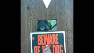 Coffey Anderson:  Heaven