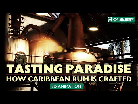 TASTING PARADISE - How Caribbean Rum Is Made